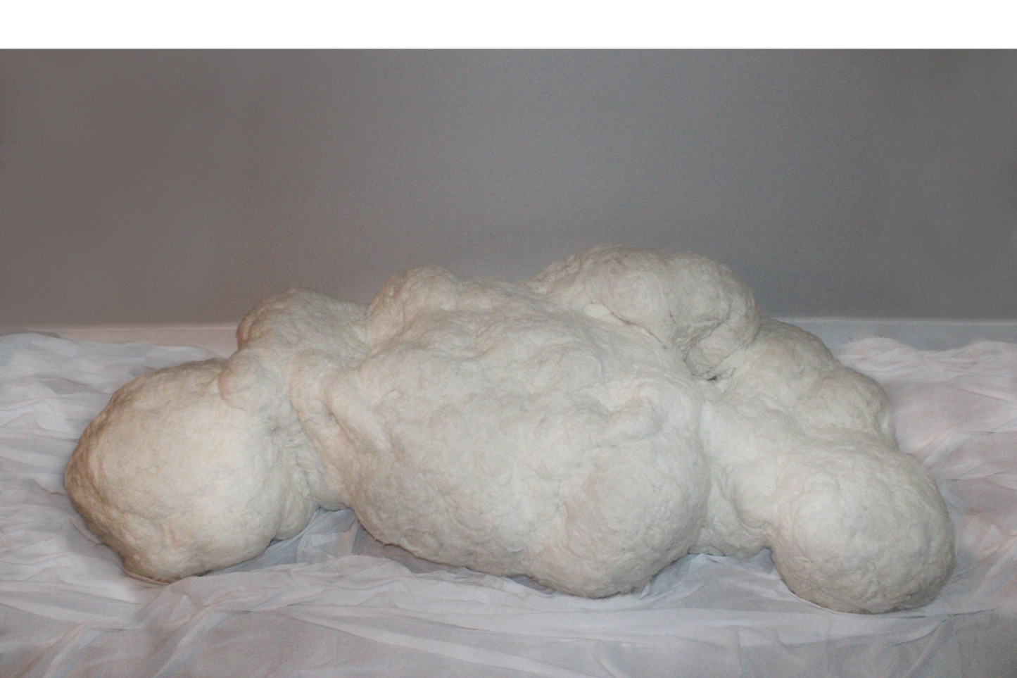 Felted Wool Sculpture Artwork