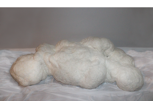 Felted Wool Sculpture Artwork