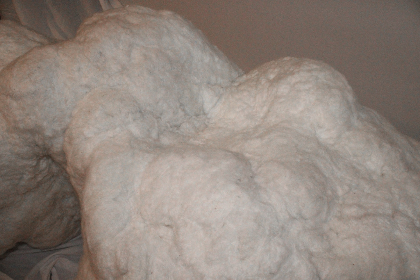 Felted Wool Sculpture Artwork